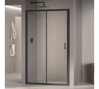 Душевая дверь RGW 100x195 PA-14 B чёрный, прозрачное, 6 мм (98-102) 41081410-14