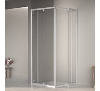 Душевой уголок RGW 100-110x100-110x195 PA-38 Квадрат/Хром/Прозрачное/6 мм 06083800-11