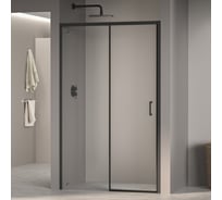 Душевая дверь RGW 120x195 PA-017-B чёрный, прозрачное, 6 мм 350801712-14