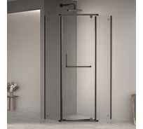 Душевой уголок RGW 90x90x195 PA-081 B Трапеция/Чёрный/Прозрачное/6 мм 35088199-14