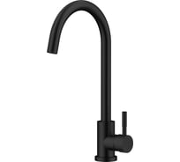 Смеситель для кухни Raiber Graceful черный RPB-012