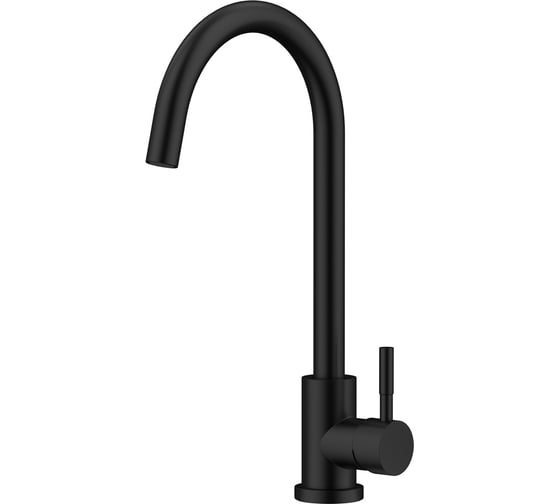 Смеситель для кухни Raiber Graceful черный RPB-012 1