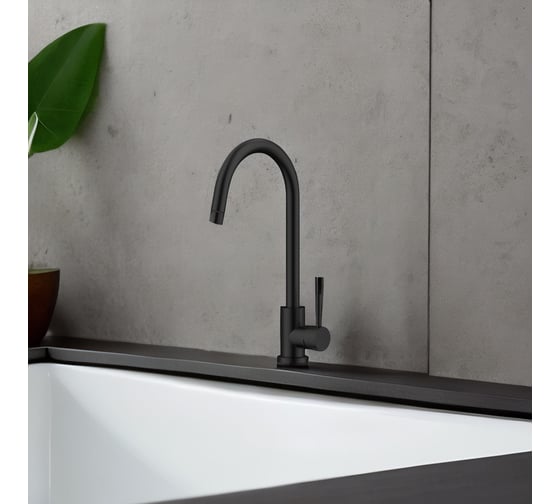Смеситель для кухни Raiber Graceful черный RPB-012