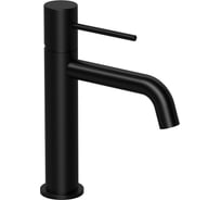 Смеситель для раковины Raiber Graceful черный RPB-001