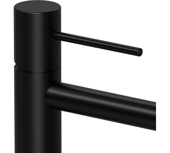 Смеситель для раковины Raiber Graceful черный RPB-002