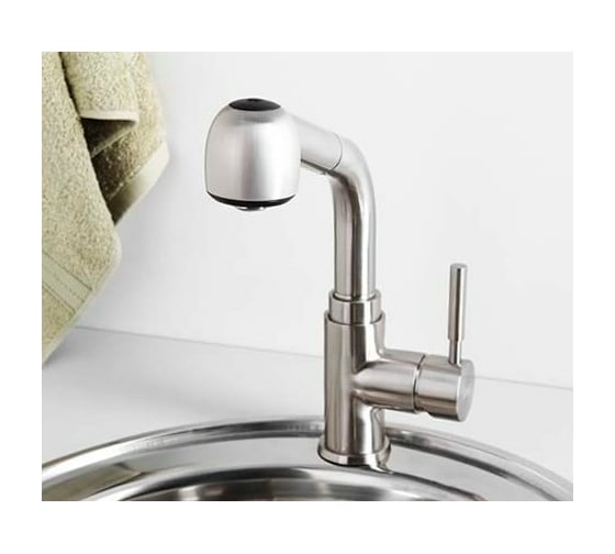 Смеситель для кухни с выдвижной лейкой WasserKRAFT Wern 4266
