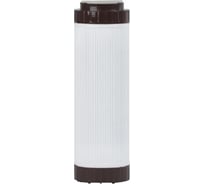 Обезжелезивающий картридж АКВА ПРО FE 10SL 447