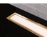 Душевой лоток Pestan Confluo Premium White Glass Line 450 Gold 13100089 9