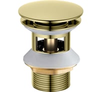 Сливной набор для раковины Aquatek AQ6002PG Push-open с переливом, крышка круглая, полир. золото 00000139277