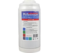 Картридж Millennium с гранулированным углем BB 10" KGAC10BB