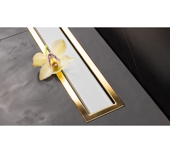 Душевой лоток Pestan Confluo Premium Line 450 White Glass Gold 13100120