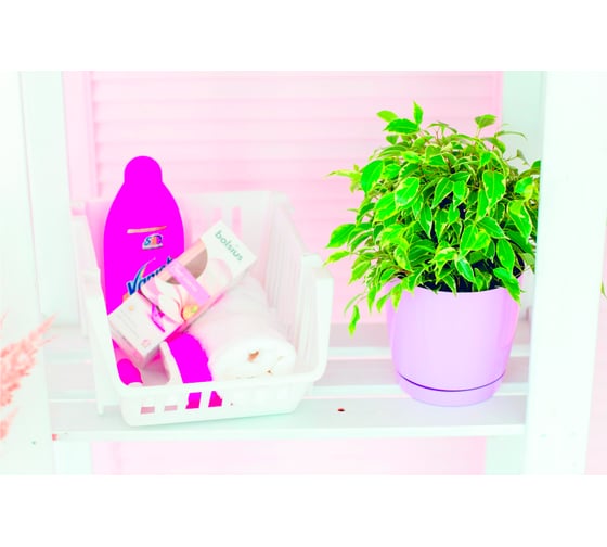 Ящик для хранения GARDENPLAST белый 4814132002599 20005