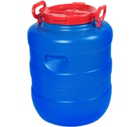 Дачная круглая цветная бочка Радиан 40 л 4607168315364