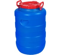 Дачная круглая цветная бочка Радиан 50 л 4607168315388