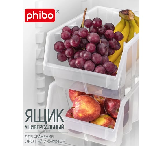 Универсальный ящик Phibo 155х225х128 мм бесцветный 433249901