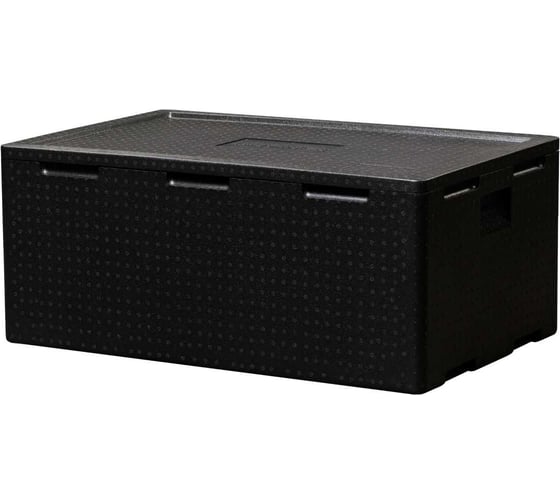 Термоконтейнер с крышкой Дигрус 112 л плотность 60 ТК112-60Ч/Д