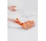 Диспенсер CRYSTAL-BOX разборный, на 1 секцию Dispenser1_COLLECT 5