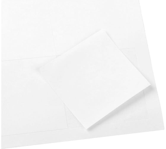 Этикетки Calligrata А4 самоклеящиеся 100л 80г/м разлинов на листе 24шт, размер 49х47мм белые 732863