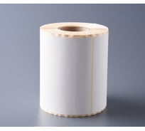 Самоклеящиеся термоэтикетки PACK INNOVATION ЭКО 100x150 мм, 300 накл., 40 мм втул. IP0TE001015.300-1