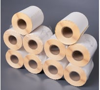 Самоклеящиеся термоэтикетки PACK INNOVATION ЭКО 100x150 мм, 300 накл., 40 мм втул., 10 шт. IP0TE001015.300-10