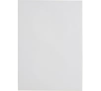 Этикетки для дисков ProMega label белые, 50 шт. уп. 1732107