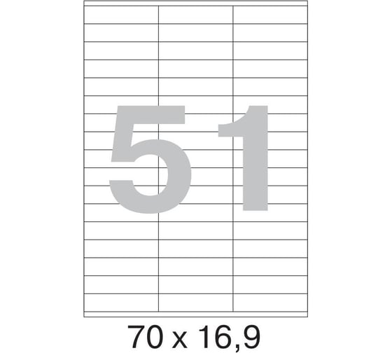 Самоклеящиеся этикетки ProMega label Basic 70x16.9 мм, 51 шт. на листе А4, в упаковке 100 листов 1235552
