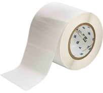 Этикетки THT-55-484-1 BRADY brd62394