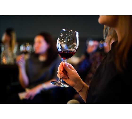Винный холодильник Caso WineComfort 66 black