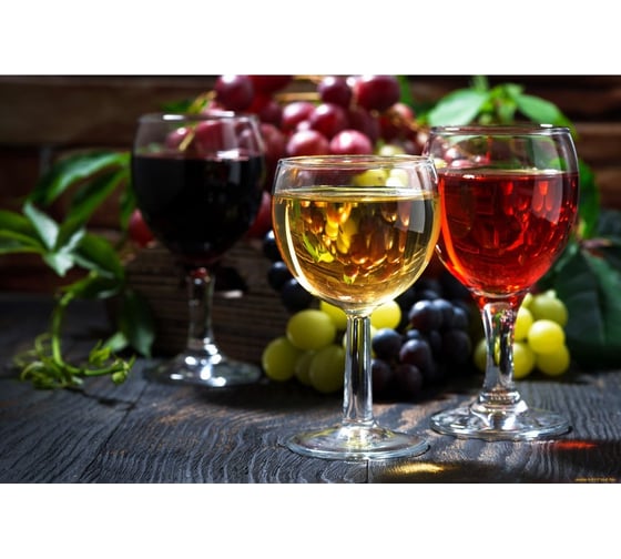 Винный холодильник Caso WineDuett 21