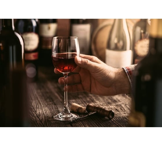 Винный холодильник Caso WineComfort 38 black