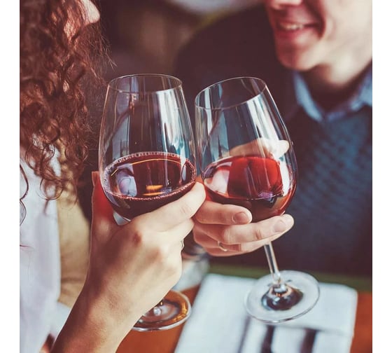 Винный холодильник Caso WineSafe 12 Classic