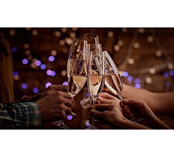 Винный холодильник Caso WineSafe 12 Classic