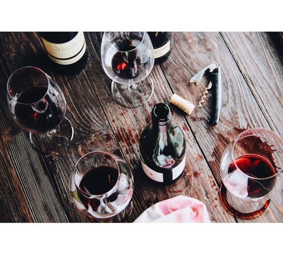 Винный холодильник Caso WineSafe 12 Classic