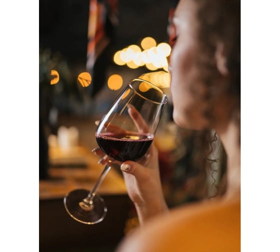 Винный холодильник Caso WineGourmet 38