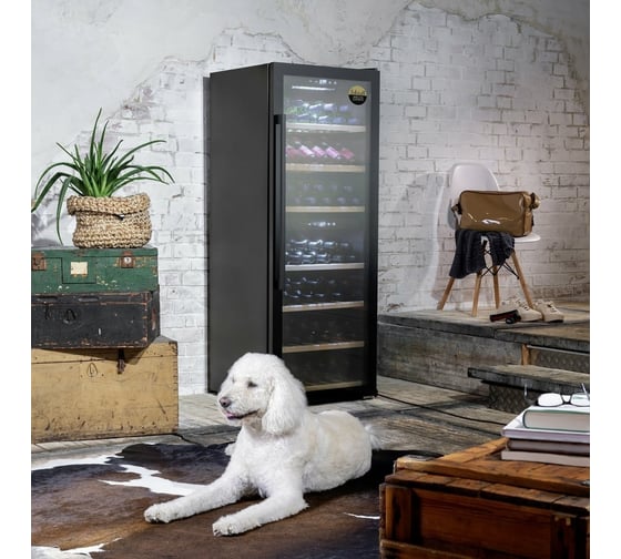 Винный холодильник Caso WineExclusive 126 Smart