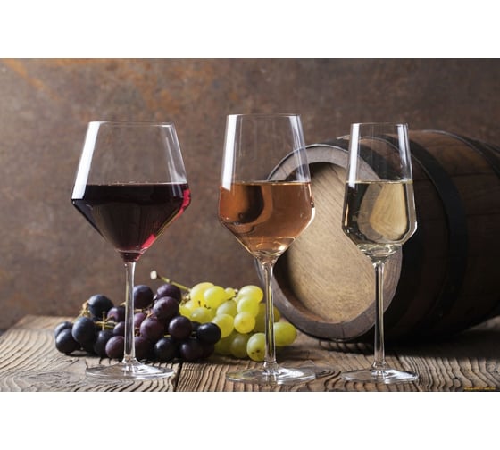 Холодильник винный Caso WineComfort 24