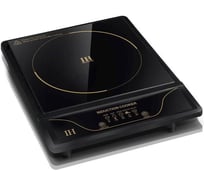 Плита индукционная Airhot ip2000 e e1167