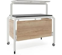 Модуль мобильный нейтральный Kobor AN220 white/natural/coal 56895
