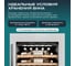 Винный шкаф MEYVEL MV31PRO-KWB1 980393 2