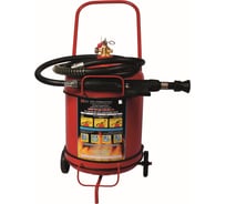 Огнетушитель ООО "Пожнанотех" ОВЭ-25 (з) АВСЕ 01 морозостойкие RDA02730