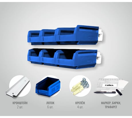 Органайзер ООО ММПО LT300-2x3 синий 4673738646183