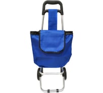 Тележка с сумкой Bikson ассорти, 84-31-25 см ПР3079