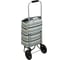 Тележка-сумка VETTA WQ-162 грузоподъемность до 30 кг, брезент, ЭВА, 27x32x88 см, колесо d15 см 467-003 3