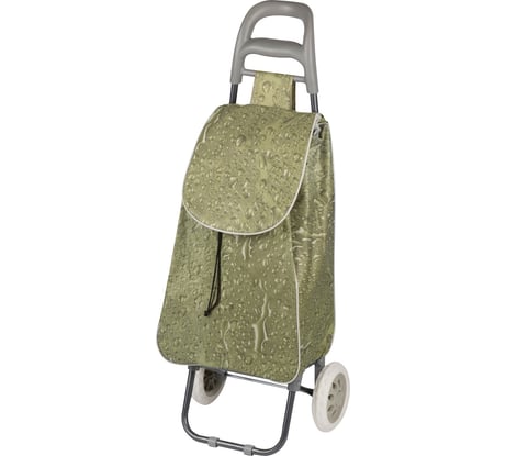 Тележка с сумкой Рыжий кот A204 Aqua 30 кг 00 2247