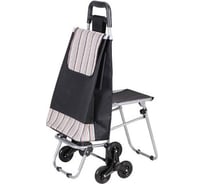 Тележка с сумкой Рыжий кот C302 093542