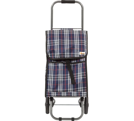 Тележка с сумкой Рыжий кот D203ECO Tartan 30 кг 00 2250
