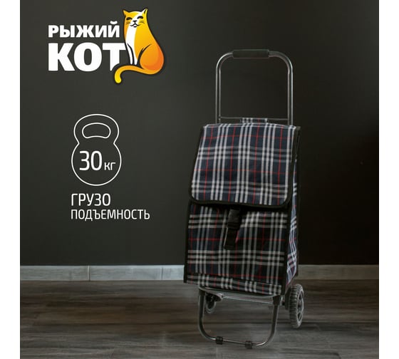 Тележка с сумкой Рыжий кот D203ECO Tartan 30 кг 00 2250