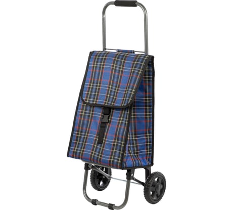 Тележка с термосумкой Рыжий кот D203 Isoterma 25кг 0 93583