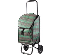 Тележка с сумкой Рыжий кот D203 Клетка, 30 кг 0 93543