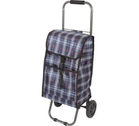 Тележка с сумкой Рыжий кот JX-D2 Клетка, 30 кг 093576